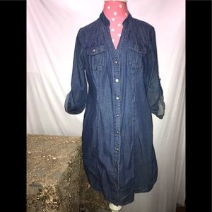 Guess Denim Dress
